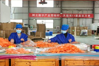 全國2000個(gè)產(chǎn)業(yè)帶備戰(zhàn)忙 天貓雙11帶給中小企業(yè)生意與信心